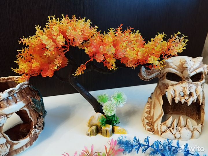 Всё для аквариума