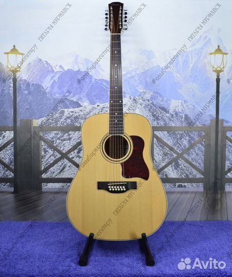 Двенадцатиструнная гитара (новая) комплект