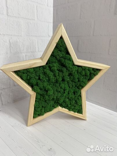 Сердце/звезда со стабилизированным мхом