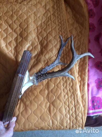 Вешалка- рога косули