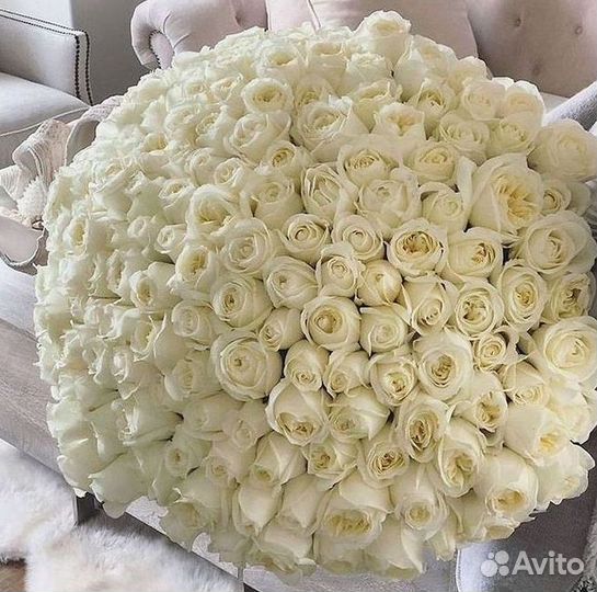 Розы Эквадор Метровые 100 см доставка Москва