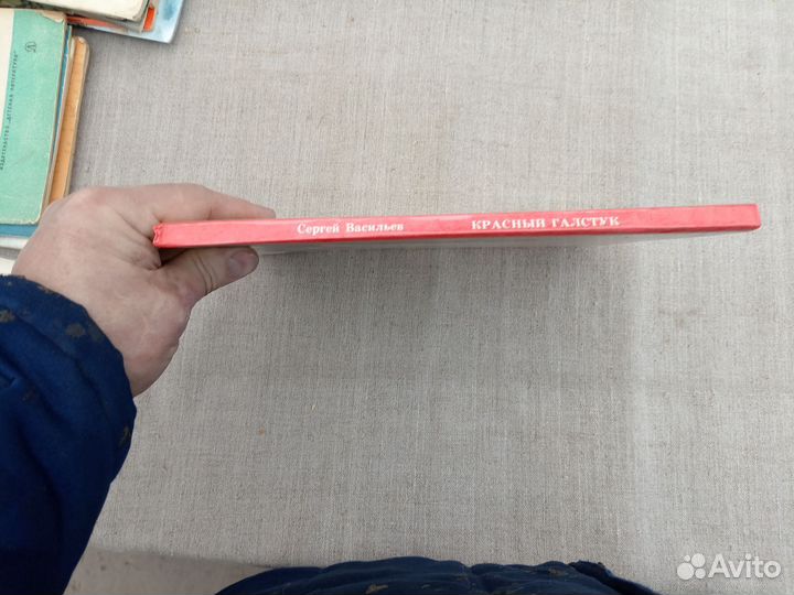 Сергей Васильев. Красный галстук. Худ. Е. Шукаева