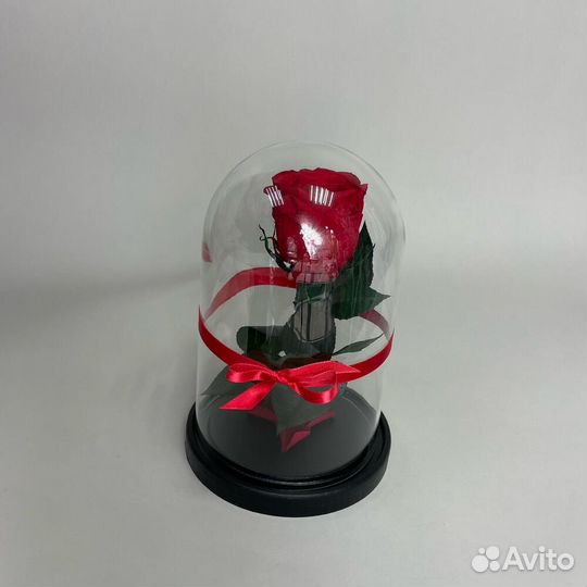 Стабилизированные розы в колбе