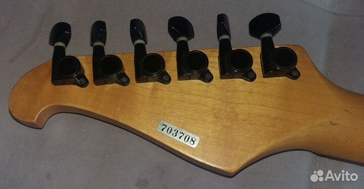 Электрогитара Caparison Chatting Bird CAS-2