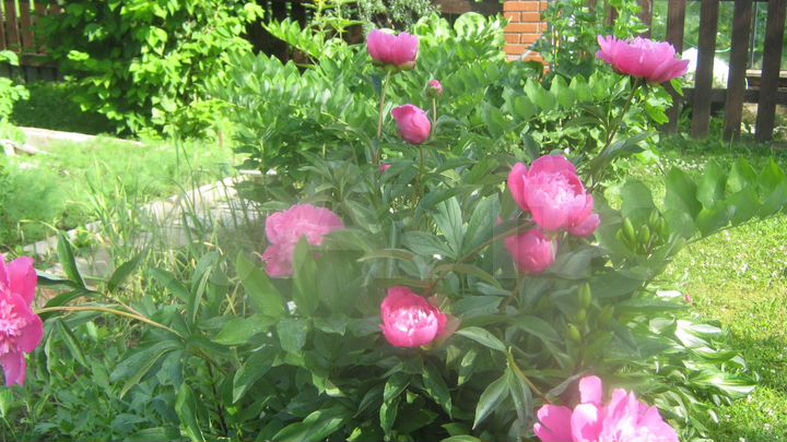 Дом 90 м² на участке 10 сот.