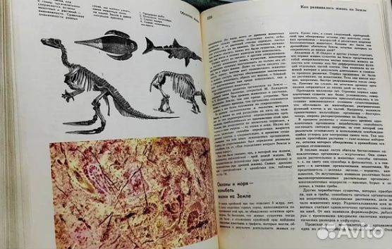 Детская советская энциклопедия