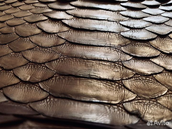 Кожа питона, в тёмно-коричневом цвете