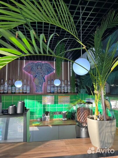 Франшиза Coffee Island Bali доход от 200 тысяч