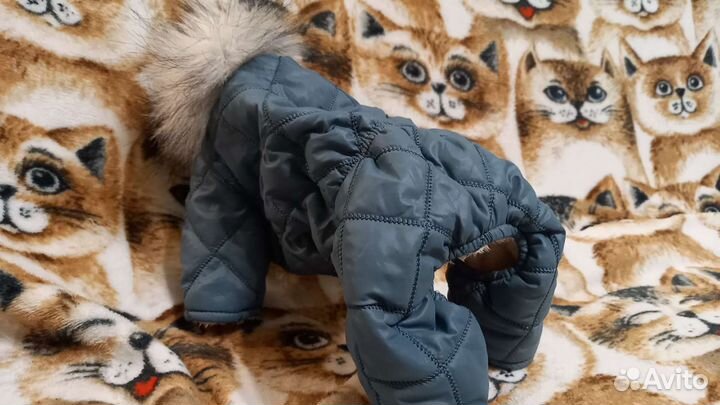 Комбинезон для собаки