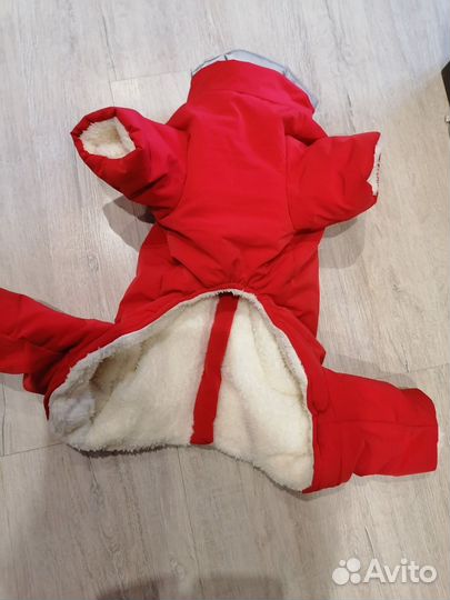 Новый зимний комбинезон для собак