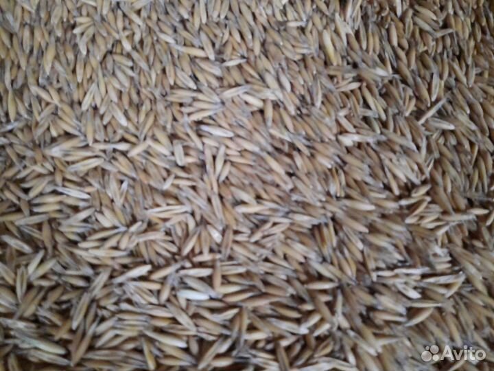 Овес, пшеничные отходы