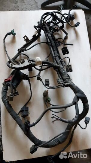 Коса двигателя A6711507633 SsangYong D20DTF