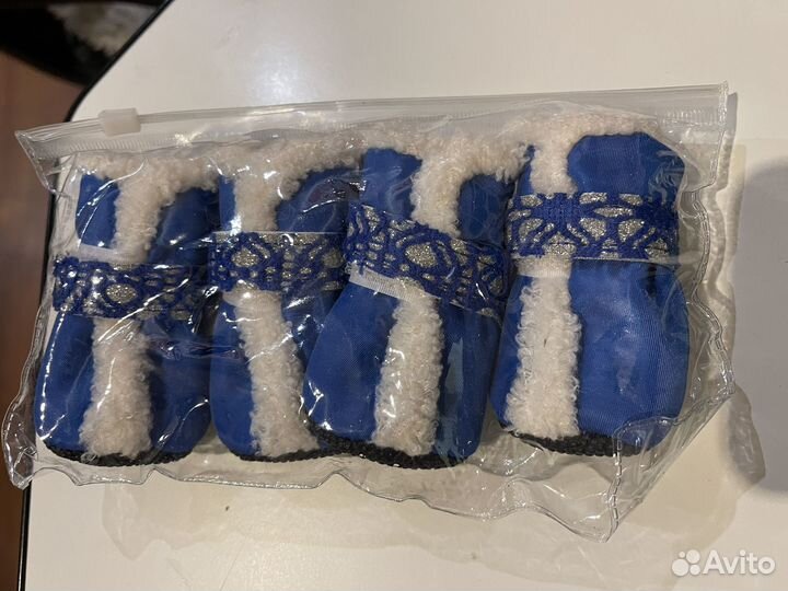 Одежда для собак