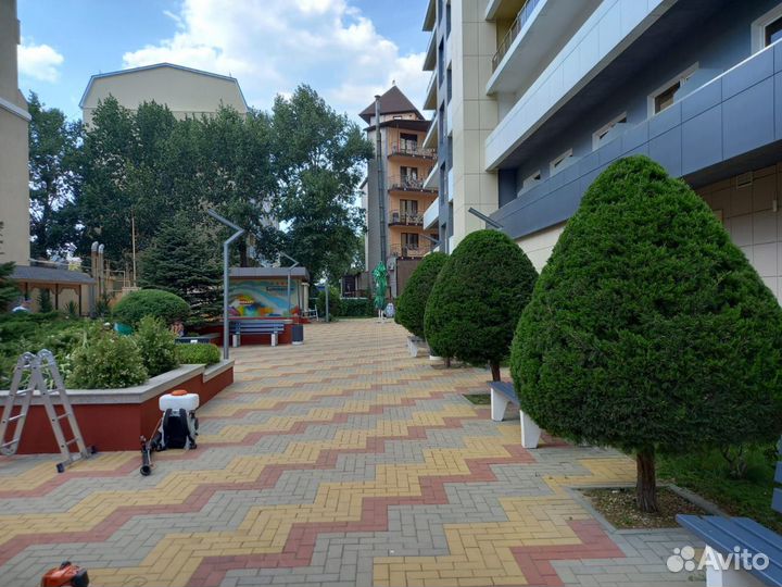 Стрижка живой изгороди. Обрезка деревьев