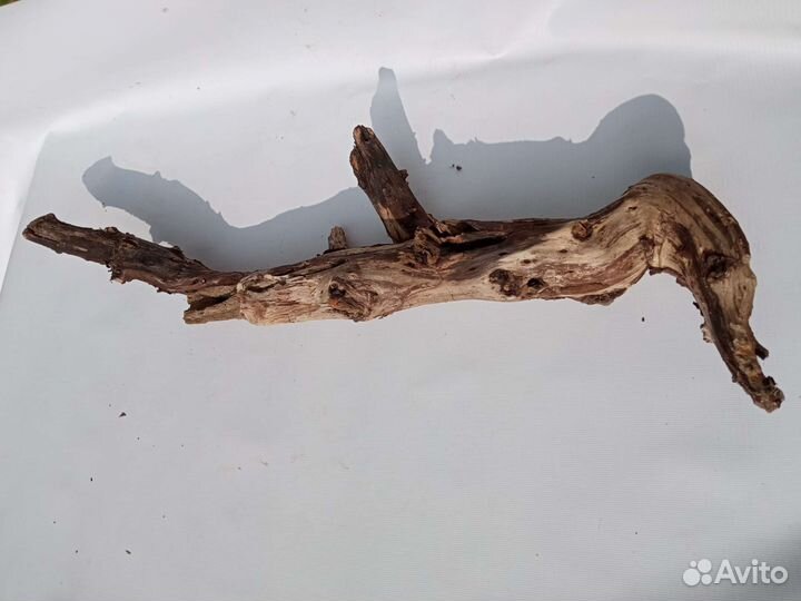 Коряги для декора или террариума, аквариума