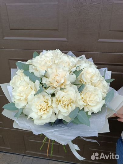 Французские белые розы