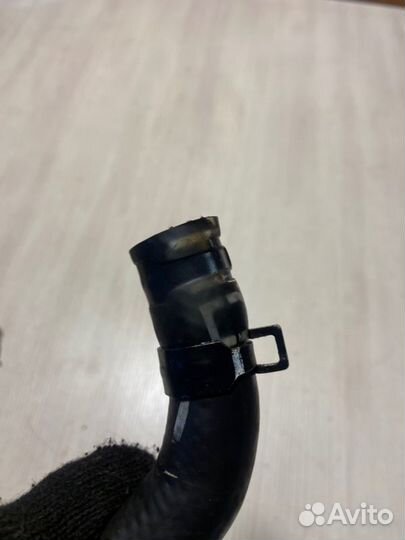 Шланг гидроусилителя Chevrolet Cobalt T250 B15D2