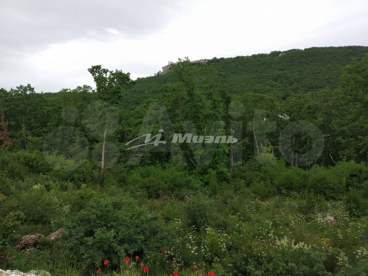 Участок 10 сот. (СНТ, ДНП)