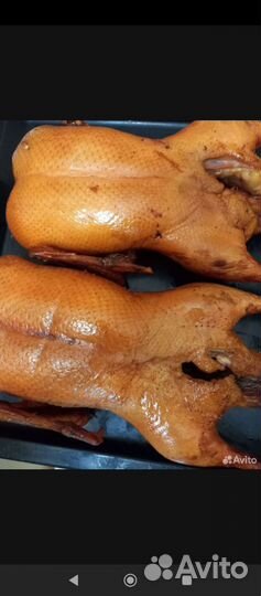 Копчëные утки