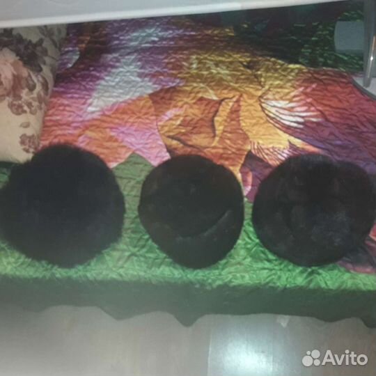 Шапки из натурального меха