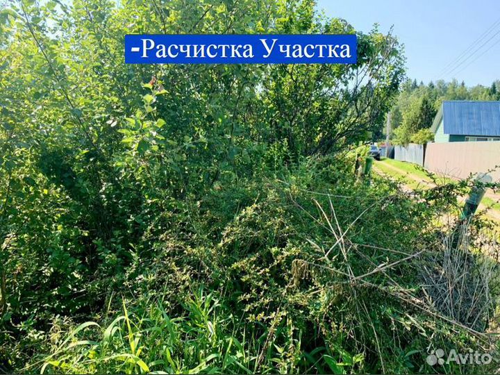 Покос Травы,Спил Деревьев,Расчистка Участка