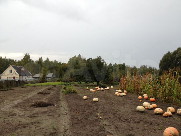 Дом 80 м² на участке 20 сот.