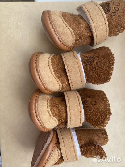 Ботинки для собаки