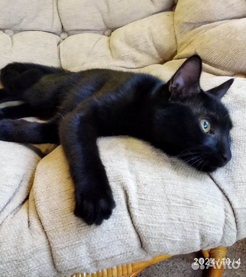 Девочка, ищет добрые,надёжные ручки