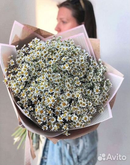 Цветы ромашки