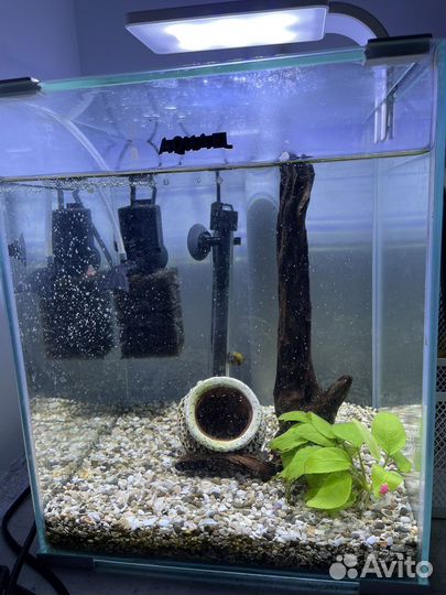 Аквариум Aquael 20 литров