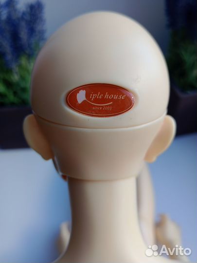 Бронь.Кукла iplehouse Bjd 1/3.EID. Asa Tokyo story