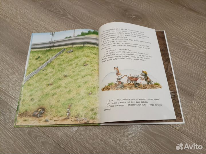 Вместе мы всё можем. Ханс де Беер Ханс