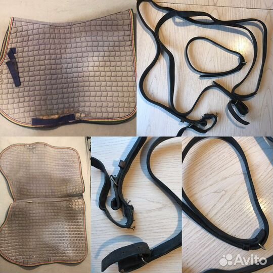 Конное снаряжение