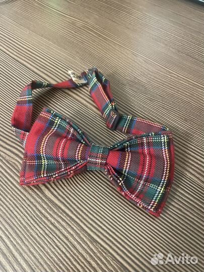 Бабочка мужская