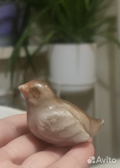 Птичка птенец воробей фарфор старинный