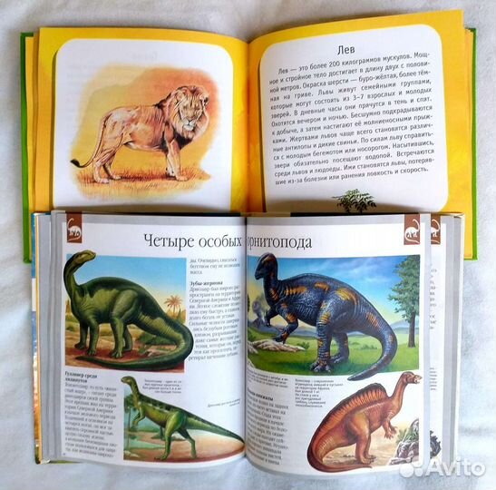 Энциклопедия для детей