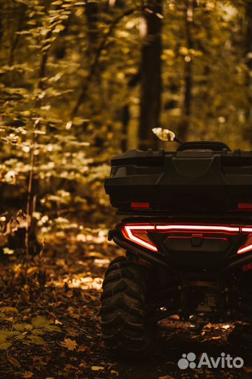 Квадроцикл CF Moto CForce 600 EPS