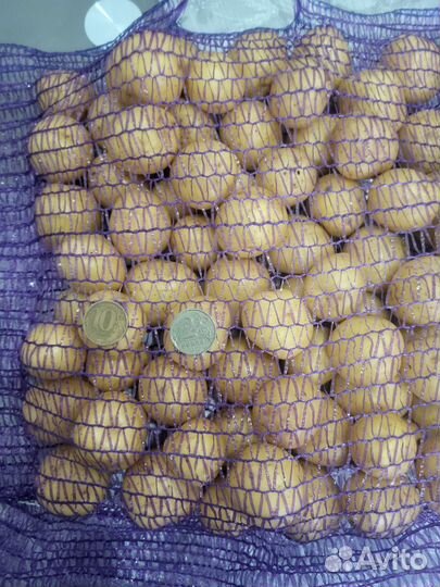 Картофель черри и беби