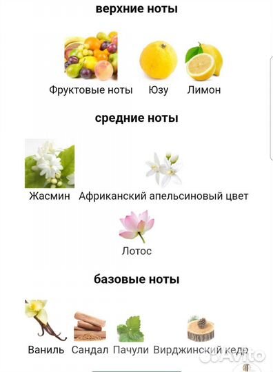 Новая Парфюмерия