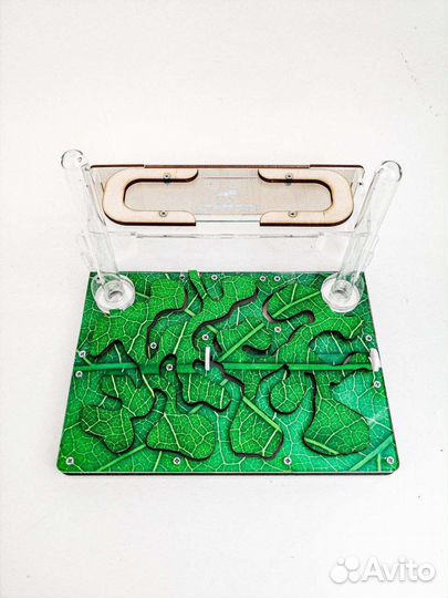 Формикарий. Муравьиная ферма с муравьями