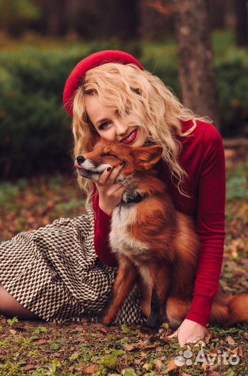 Фотосессия осенняя семейный фотодень с лисой