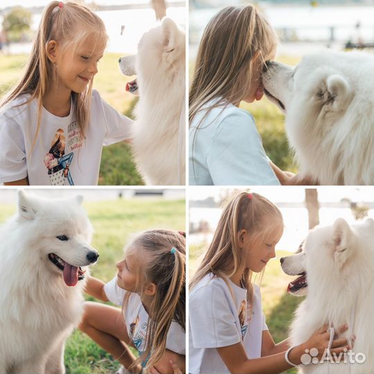 Детский и семейный фотограф