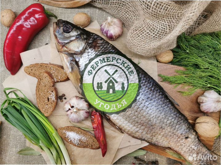 Рыба северная Язь Щука Щекур Мохтик Лещ Сырок