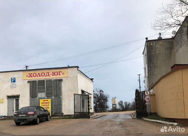 Рыба кижуч св морож 2-3 кг лососевые