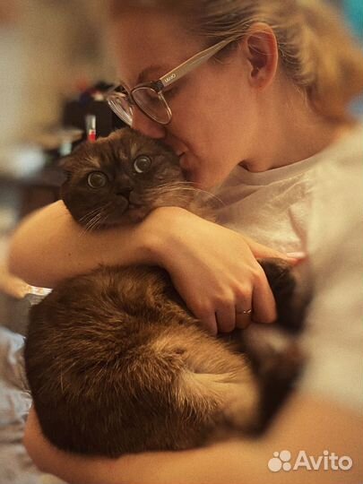 Передержка животных, зооняня