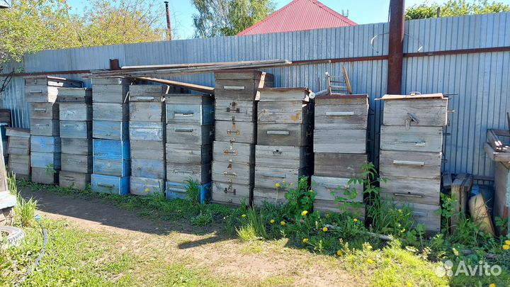 Продам ульи для пчел