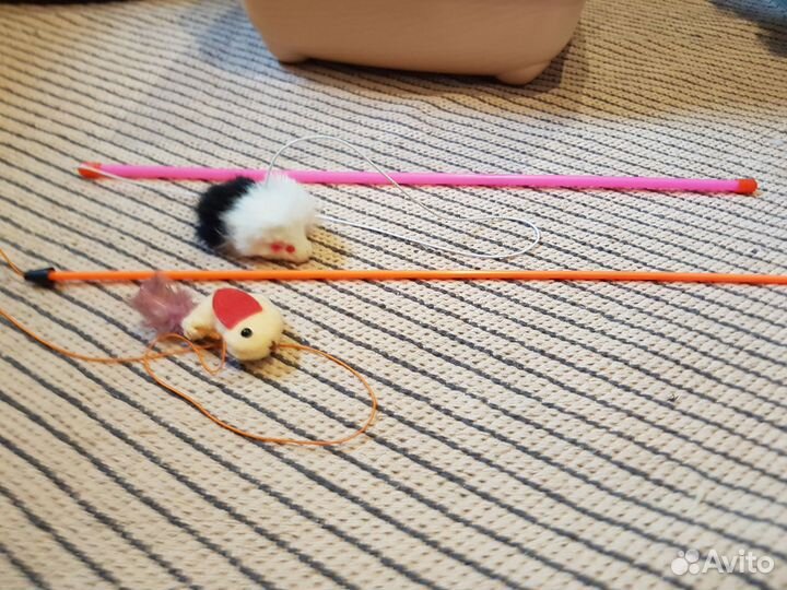 Туалет-домик для кошки. Закрытый, с дверцей