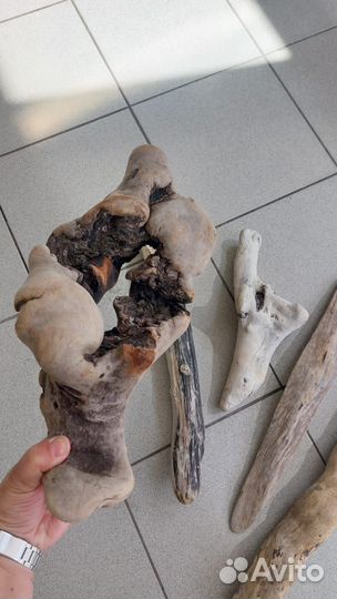 Коряги для террариума дрифтвуд