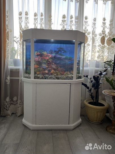 Аквариум с тумбой