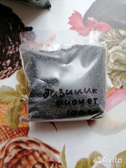 Семена микрозелень